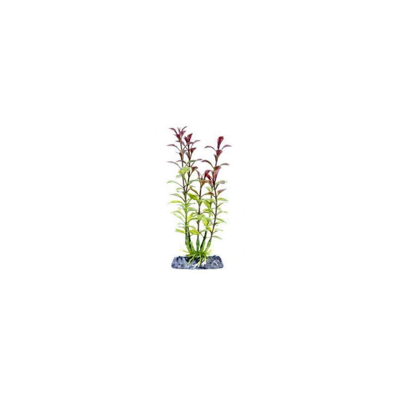 Penn Plax Red Ludwigia Plant - SMALL 6''