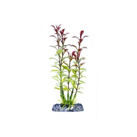 Penn Plax Red Ludwigia Plant - SMALL 6''