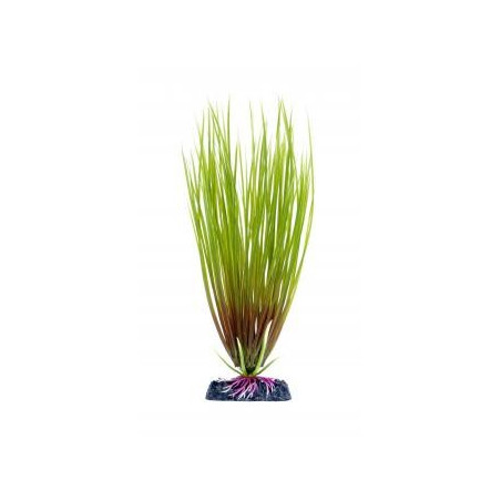 Penn Plax Hair Grass Plant - Medium