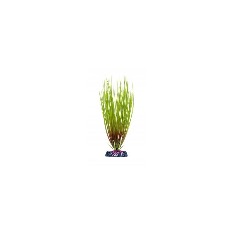 Penn Plax Hair Grass Plant - Large