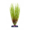 Penn Plax Hair Grass Plant - Large