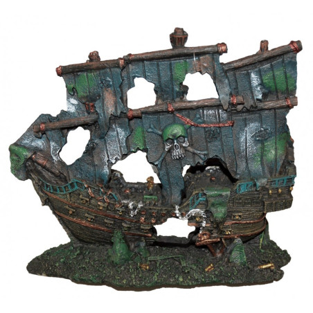 AF Pirate Shipwreck 