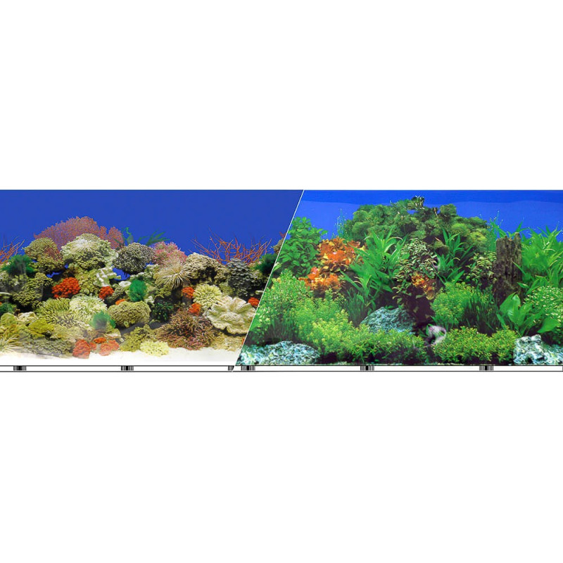 Double Sided Background 12'' – Freshwater Garden/Caribbean Coral Reef  -by the foot
