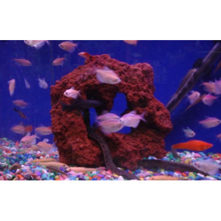Aquaglobe Lava Rock SMALL