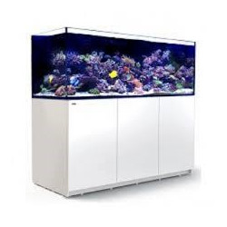 Red Sea REEFER System - 625 XXL - 165g White