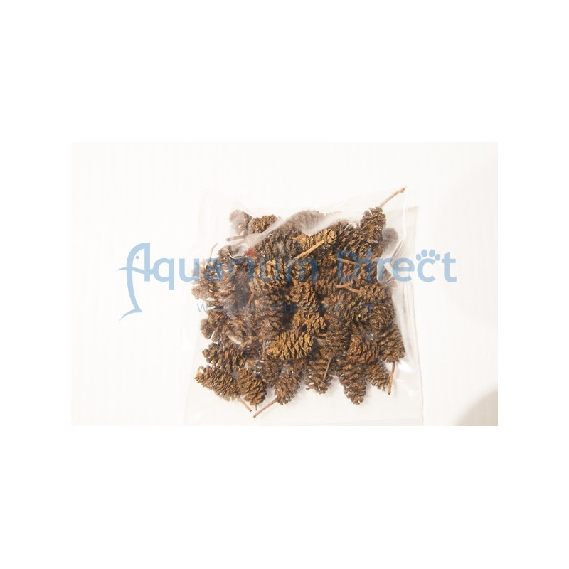 Alder Cones -1oz (28g)