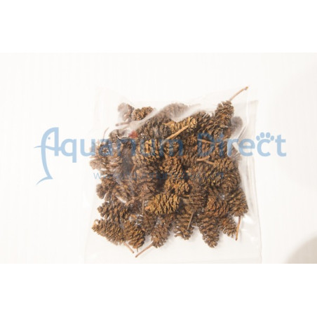 Alder Cones -1oz (28g)