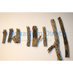 Cholla Wood 6''