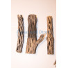 Cholla Wood 6''