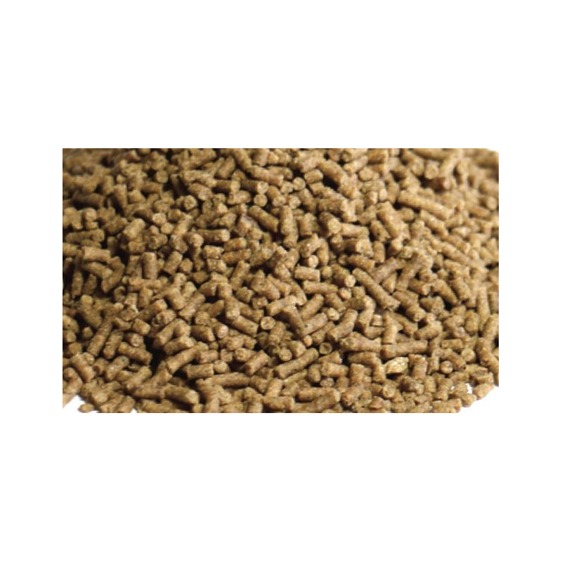 Croissance Crevette 2.5 mm 