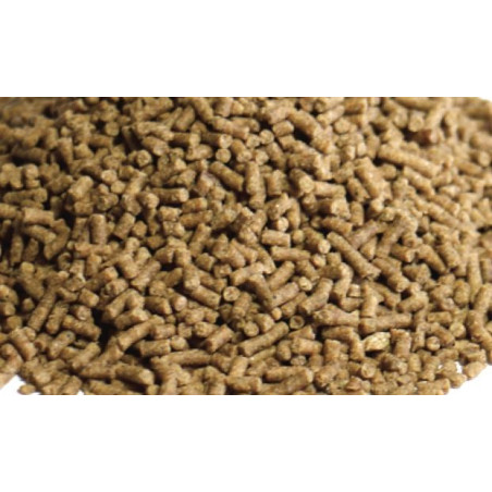 Croissance Crevette 2.5 mm 