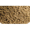 Croissance Crevette 2.5 mm 