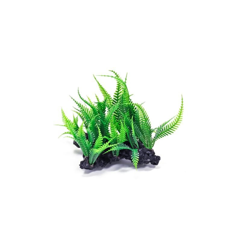 Aquatop Plante Aquarium - Resin Base 6" (W) x 7" (H)