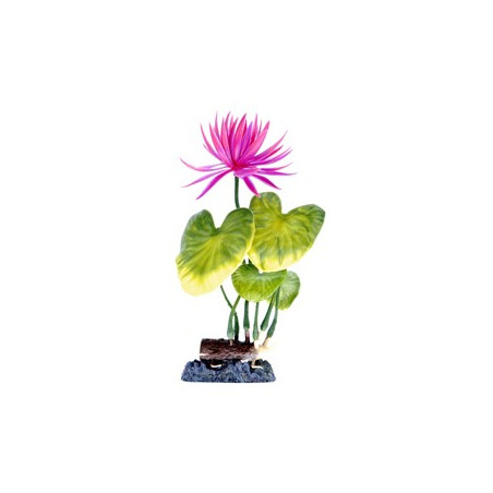 Penn Plax Sinker Plant Water Lily Red - Medium