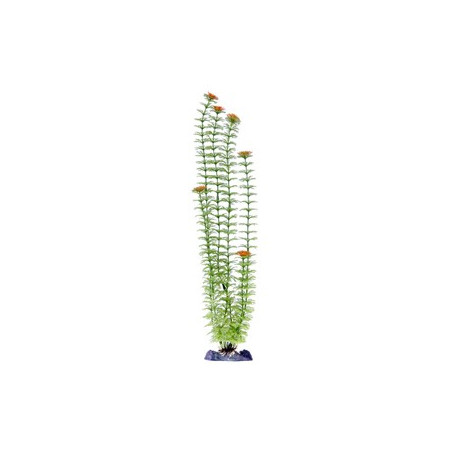 Penn Plax Sinker Plant Ambulia Green 