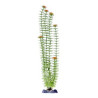 Penn Plax Sinker Plant Ambulia Green 