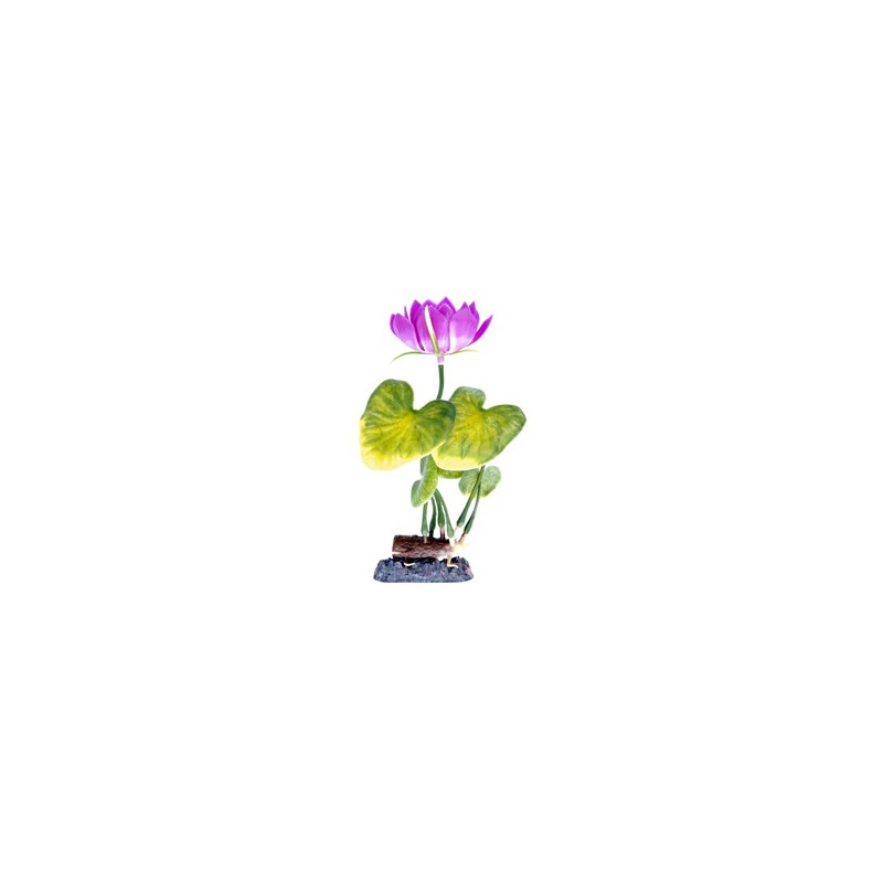 Penn Plax Sinker Plant Water Lily White - Medium