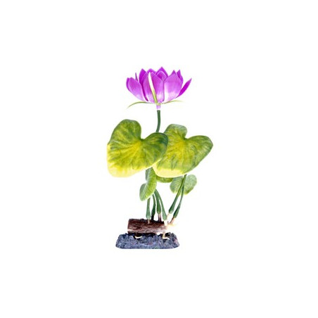 Penn Plax Sinker Plant Water Lily White - Medium