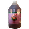 Microbe-Lift Ensure - Plant Stimulant - 1 Gallon-128oz. (3.8l)
