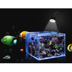 Coral Box Refugium Led AS-80