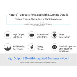 Coral Box Refugium Led AS-80