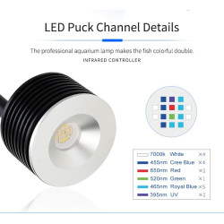 Coral Box Refugium Led AS-80