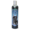 Bio-Groom shampoo ultra Black -12oz