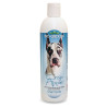 Bio-Groom Shampoo Crisp Apple-12oz
