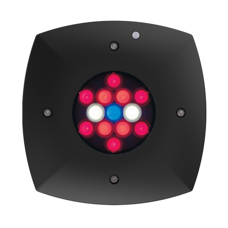 Aqua Illumination Prime Fuge LED