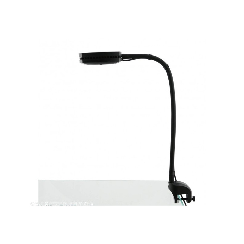 AI Prime Flex Arm - 12 Inch