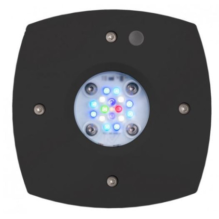 Prime 16 HD LED Reef Light - Black