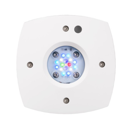 Prime 16 HD LED Reef Light - White