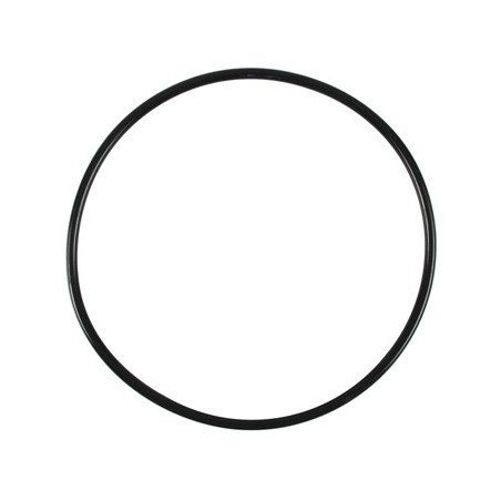 Fluval Motor Head Gasket 107/207  Fluval Motor Head Gasket 107/207