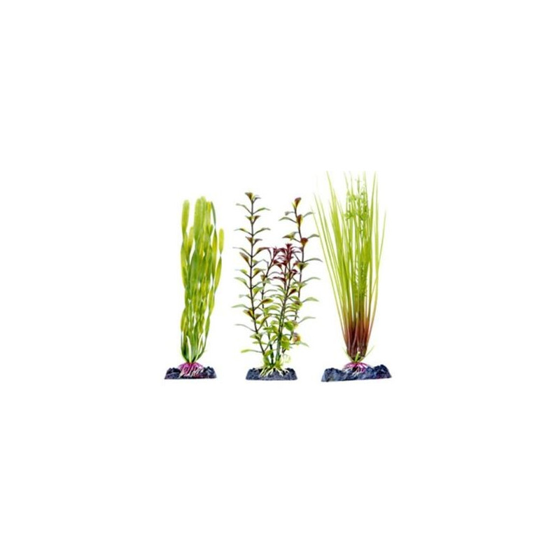 Penn Plax multi Pack