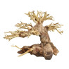 Bonsai Wood - XX-Small