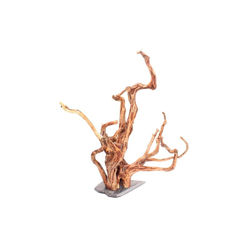 Aquarium Wood Roots on rock- Medium Aquarium Wood Roots on rock- Medium