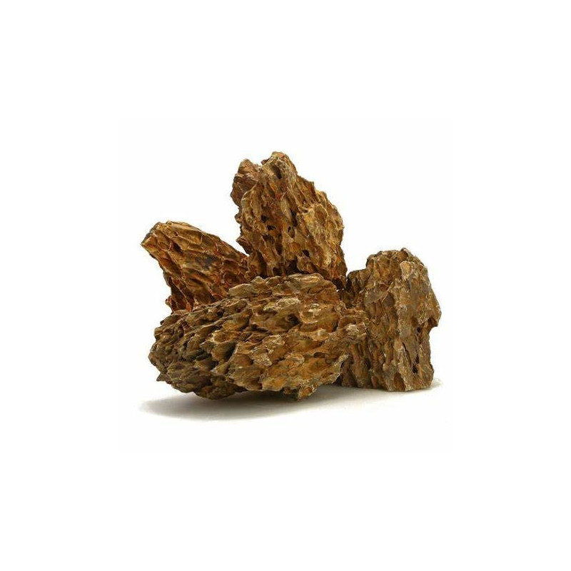 Dragon Stone (Japanese Ohko Stone) 