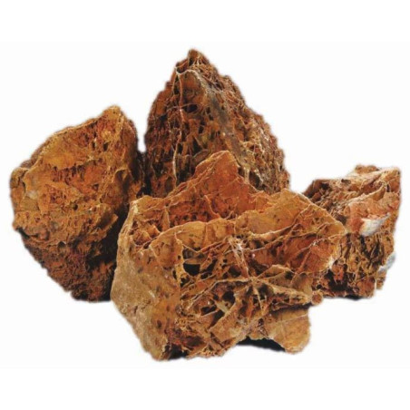 Maple Leaf Stone