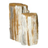 Petrified Wood Stone
