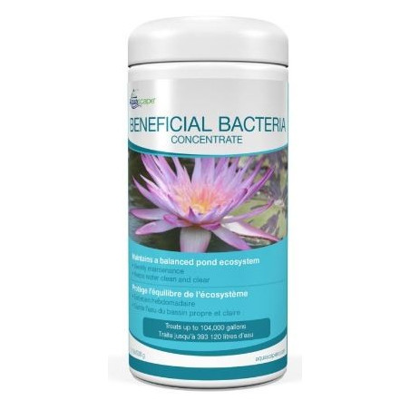 Aquascape Beneficial Bacteria Dry - 500gram