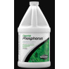 Seachem Flourish Phosphorus 2L