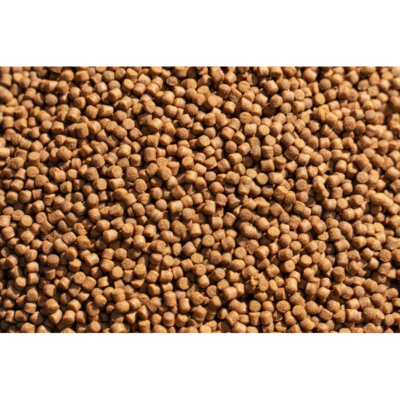 AAA Premium Hi Intensity Color 