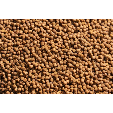 AAA Premium Hi Intensity Color 