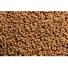AAA Premium Hi Intensity Color 