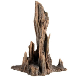 Petrified Wood - Large
