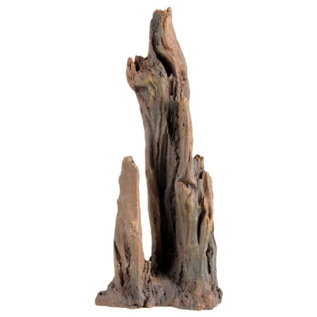 Petrified Wood - Small