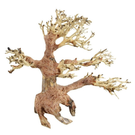 Pine Bonsai Wood - Small