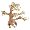 Pine Bonsai Wood - Small