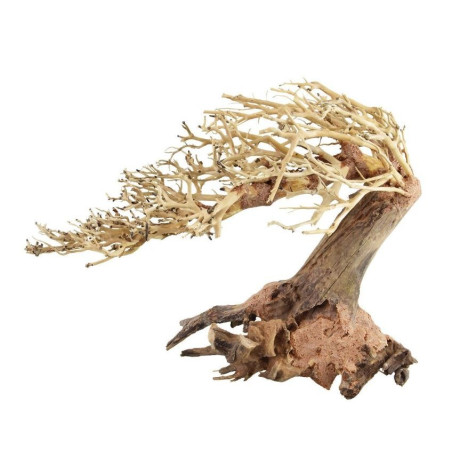 Romantic Bonsai Wood - Medium