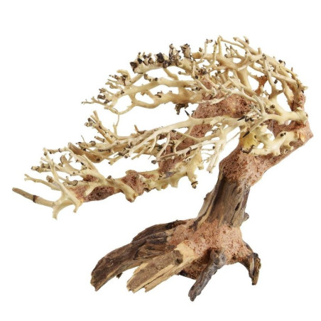 Romantic Bonsai Wood - Small